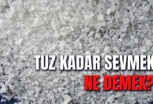 Tuz Kadar Sevmek Ne Demek?