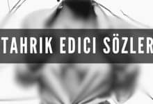 Sevgiliyi Uzaktan Tahrik Edici Sözler