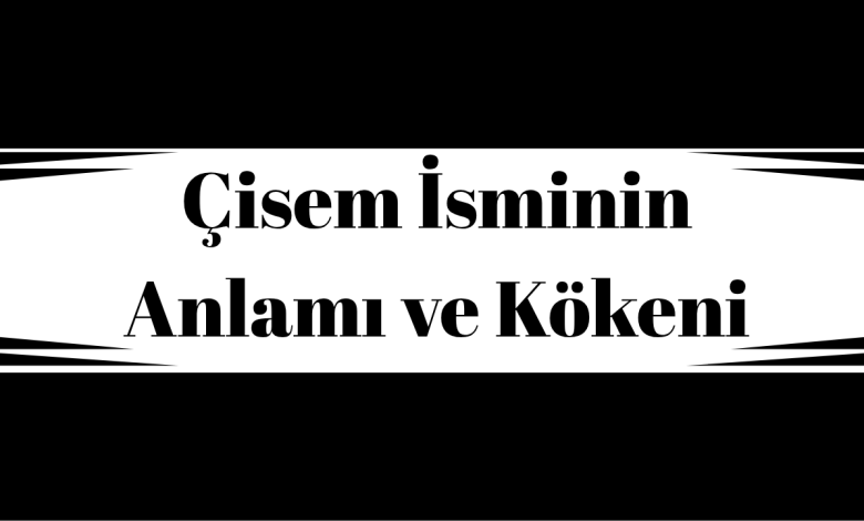 Çisem İsminin Anlamı ve Kökeni