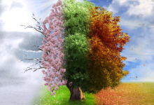 2026’da Yeni Alerji Dalgalanması: Mevsimsel Değişimlerin Etkisi