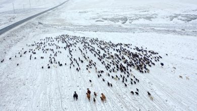 Kış 2025–2026’da Kar Yoğun Mu Olacak? Meteoroloji Tahmini