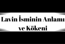 Lavin İsminin Anlamı ve Kökeni
