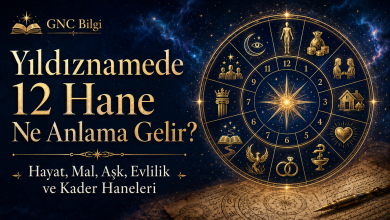 Yıldıznamede 12 Hane Ne Anlama Gelir? Yıldızname Yorumlama