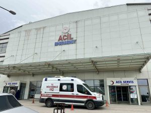Kastamonu'da evde pişirilen orman mantarı 30 kişiyi zehirledi