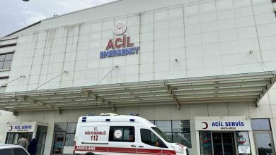 Kastamonu'da evde pişirilen orman mantarı 30 kişiyi zehirledi
